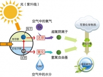 好的光觸媒甲醛治理產(chǎn)品需要具備什么核心？