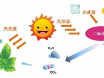 家中甲醛超標，什么才是甲醛治理的正確姿勢？