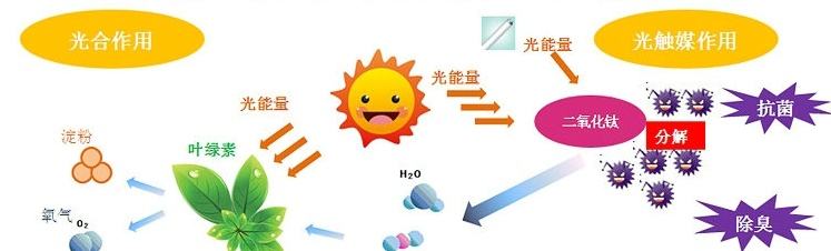 影響光觸媒除甲醛的產(chǎn)品及價格因素