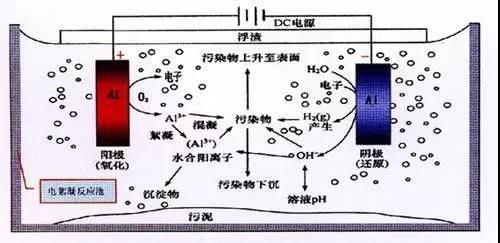 我買了一個甲醛檢測儀，吹口氣后發(fā)現(xiàn)原來我才是“地表最強”污染源！