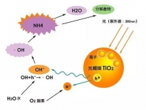 杭州除甲醛的優(yōu)效方法有哪些？