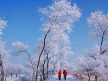 如何解決冬季室內(nèi)和車內(nèi)環(huán)境污染問(wèn)題的問(wèn)題呢？
