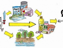 食品中有塑化劑嗎？這些食品中含有大量塑化劑，食用時(shí)一定要注意！