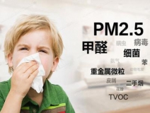 室內(nèi)空氣質(zhì)量之甲醛：危害、來(lái)源及防護(hù)