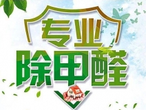 除甲醛公司的專業(yè)性表現(xiàn)在哪些方面？