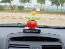 新車除醛，車內除甲醛什么辦法最好？