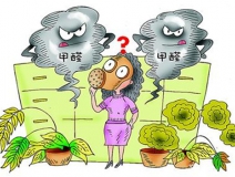 活性炭進(jìn)行甲醛治理真的有用嗎？