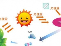 甲醛治理用什么辦法最正確？這三點(diǎn)常見的除甲醛辦法其實(shí)是誤區(qū)