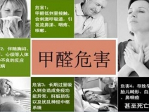 哪些綠植可以除甲醛？