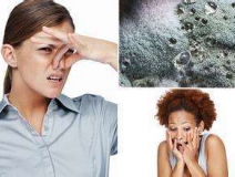 家里有異味怎么辦？科學(xué)除味、治理甲醛就對(duì)了！