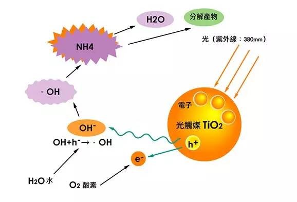 除甲醛的方法