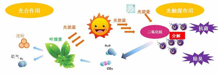 家中甲醛超標，什么才是甲醛治理的正確姿勢？